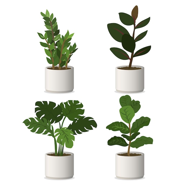 Zestaw ilustracji Green Plant Pot