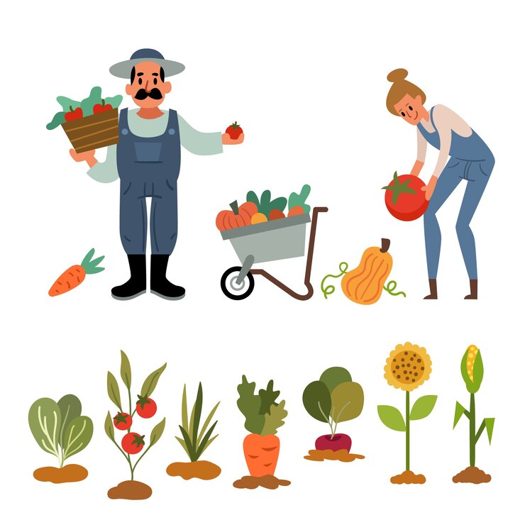 Wektor zestaw ilustracji rolniczych