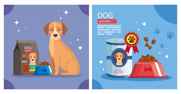 zestaw ilustracji sklep zoologiczny z elementami