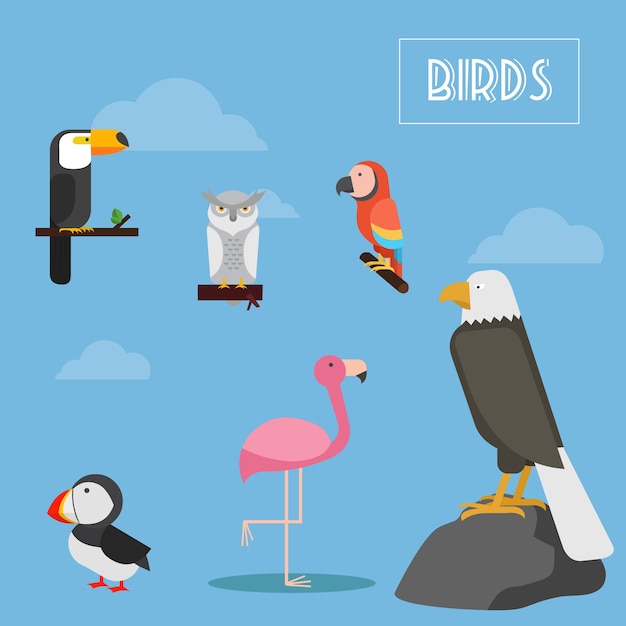 Zestaw Ilustracji Wektorowych Ptaków