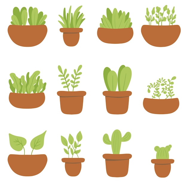 Zestaw ilustracji wektorowych roślin doniczkowych o prostej konstrukcji Rośliny domowe w ozdobnych doniczkach