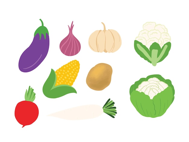 zestaw ilustracji wektorowych warzyw i owoców