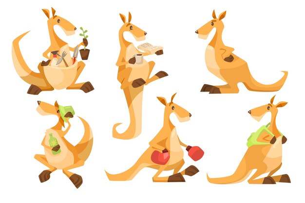Plik wektorowy zestaw ilustracji wektorowych znaków ładny kangur kreskówka. kolekcja clipartów z komiksowym zwierzęciem z etui z australii w różnych pozach na białym tle. koncepcja dzikiej przyrody