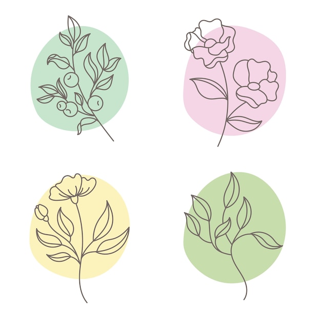 Zestaw Ilustracji Z Kwiatami I Roślinami Gałęzie Z Liśćmi I Abstrakcyjne Kolorowe Koła