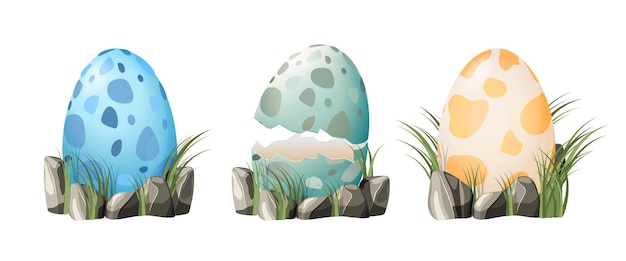 Plik wektorowy zestaw jaj smoka dinozaura z plamistymi wzorcami, skorupami jaj i całymi jajami w gnieździe i trawie dino
