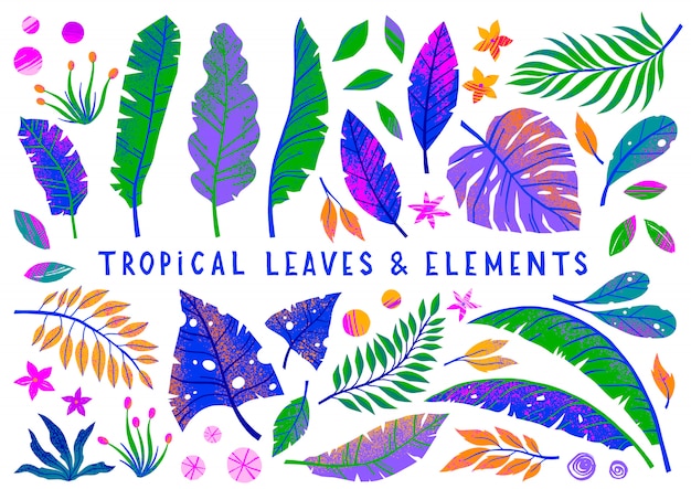 Zestaw Jasny Tropikalny Liści, Kwiatów I Elementów