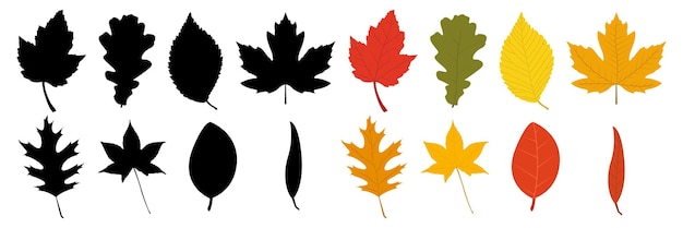 Zestaw Jesiennych Liści Sylwetkowych I Kolorowych