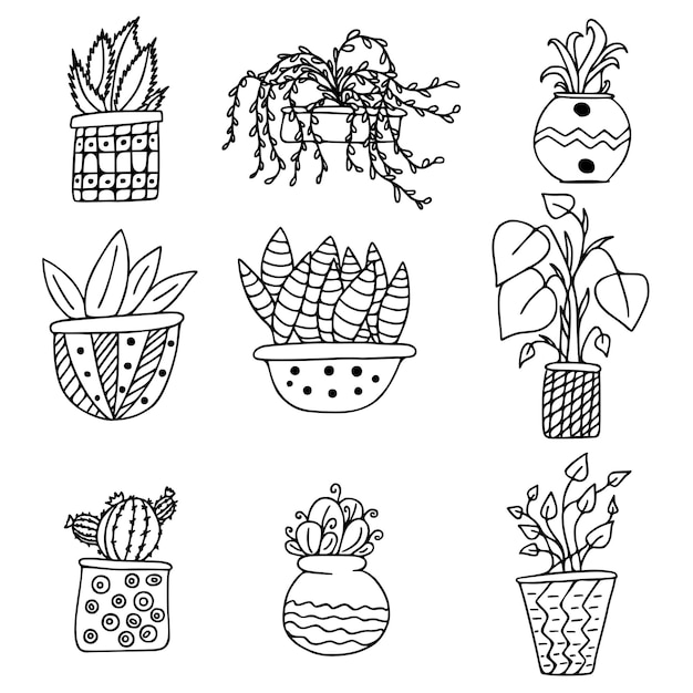 Zestaw kolekcja Doodle doniczkowa roślina doniczkowa