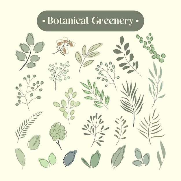 Plik wektorowy zestaw kolekcja ręcznie rysunek zieleni botanicznej