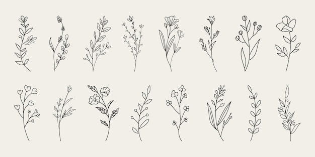 Plik wektorowy zestaw kolekcji sztuki linii dzikich kwiatów w stylu botanicznych liści.
