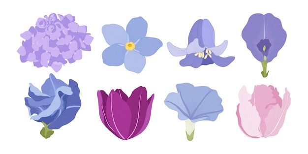 Plik wektorowy zestaw kolorowych ilustracji kwitnących kwiatów
