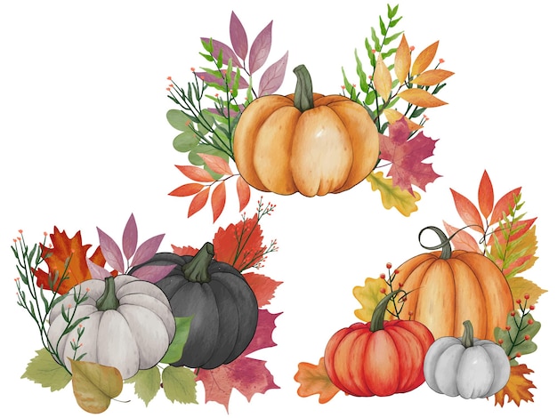 Zestaw kompozycji dyni akwarela pozostawia dyni. Malowane elementy projektu jesień kolor clipart.