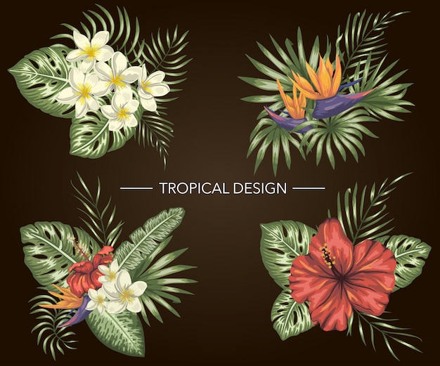 zestaw kompozycji tropikalnych z hibiskusem, plumeria, kwiatami strelitzia, monstera i liśćmi palmowymi