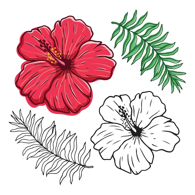 Zestaw Kwiatów I Liści Hibiskusa Z Kolorowym Stylem Rysowania Dłoni