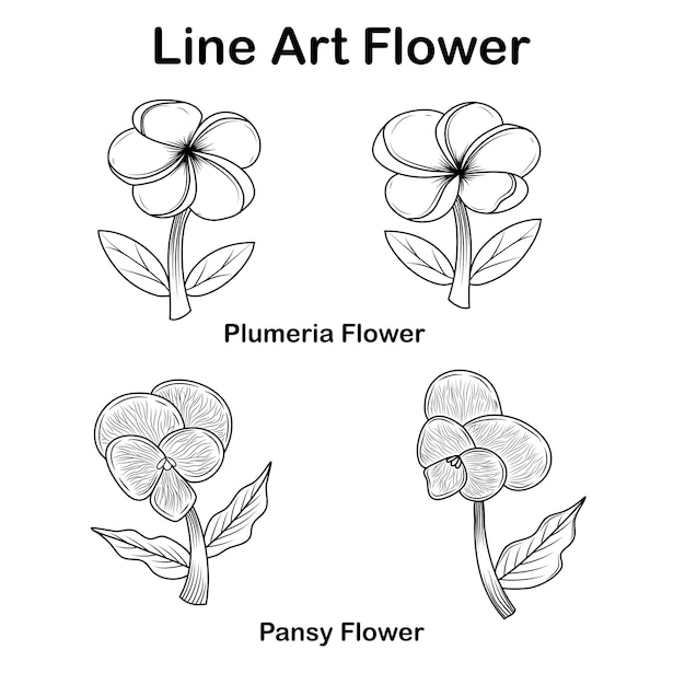 Zestaw Kwiatów Linii Kolekcji