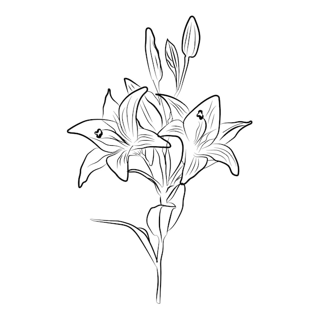 Plik wektorowy zestaw kwiatów. wektor rysunek kwiat i szkic z czarno-białej grafiki liniowej.