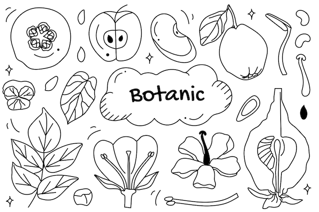 Zestaw Linii Botanic W Kreskówkowym Stylu świat Sztuki Botanicznej Z Czarno-białym Zestawem Ilustracji