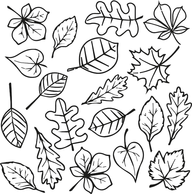 Zestaw Liniowych Jesiennych Liści I Gałązek Doodle