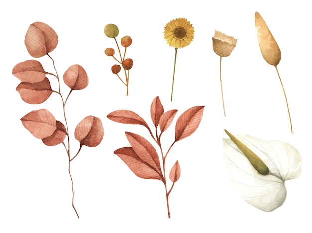 Zestaw Liści Gałęzi I Kwiatów Akwarela Ilustracja