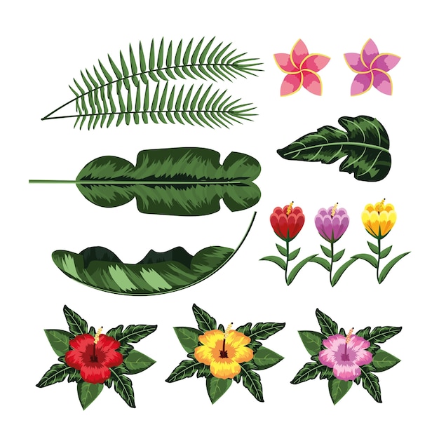 Plik wektorowy zestaw liści roślin i kwiatów tropikalnych