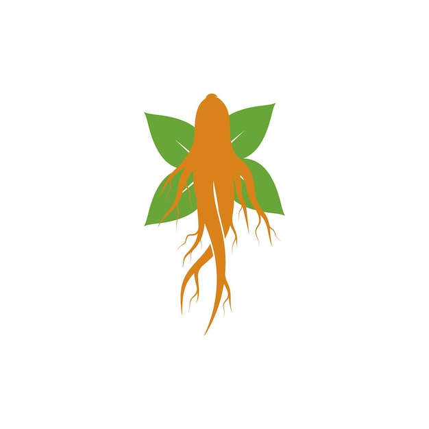 Zestaw Logo żeń-szenia Dla Ikony Ilustracji Medycyny Ziołowej