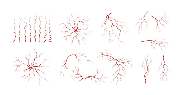 Zestaw Ludzkich żył I Tętnic. Czerwone Rozgałęzione Naczynia Krwionośne I Naczynia Włosowate. Ilustracja Wektorowa Na Białym Tle.