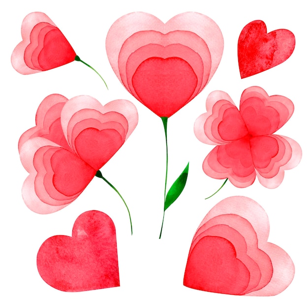 Zestaw Miłości Kwiaty Serce Malowane Akwarela Czerwony Na Białym Tle