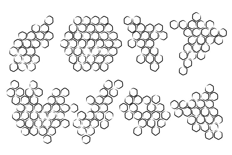 Wektor zestaw miodowych pąków propolis doodle ręcznie narysowana struktura szkicu miodowego pąka pergaminy z pyłkiem miodowym