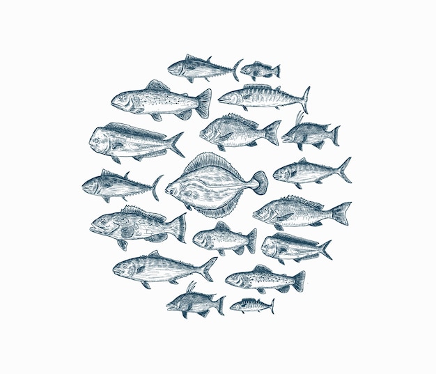 Zestaw Na Białym Tle Niebieski Ręcznie Rysowane Ryb Na Białym Tle