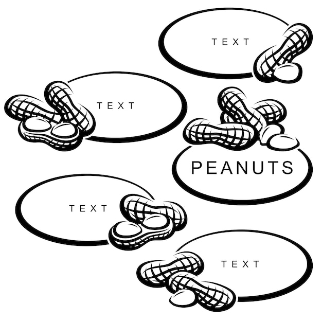 Zestaw Orzeszków Ziemnych. Kolekcja Ikona Orzeszków Ziemnych. Wektor