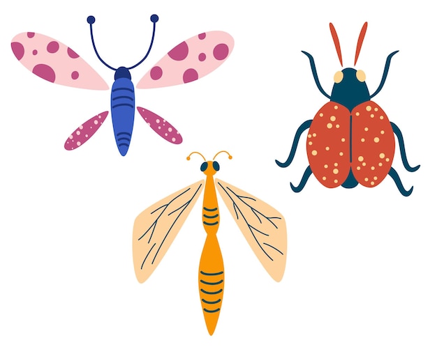 Zestaw owadów. Ważka, motyl, chrząszcz. Ręcznie rysowane elementy dekoracyjne projektu. Ilustracja kreskówka nowoczesne płaskie wektor.
