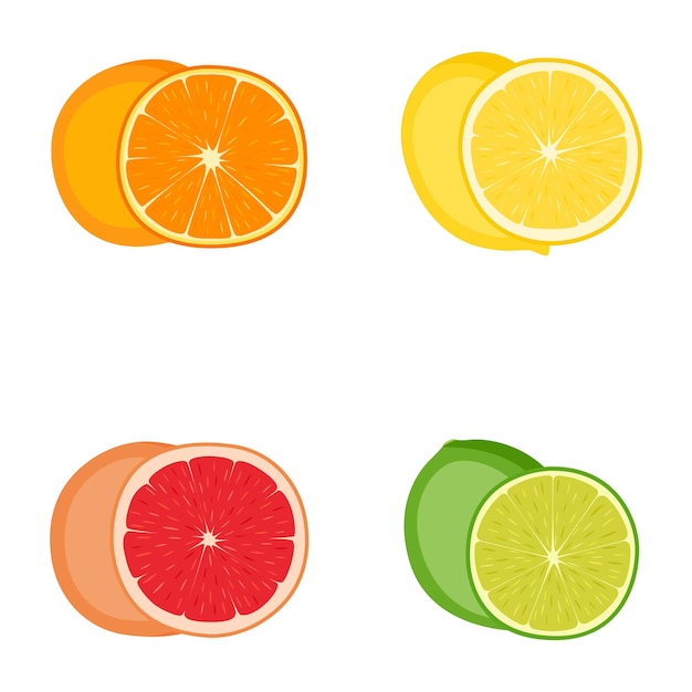 Zestaw owoców cytrusowych (pomarańcza, cytryna, grejpfrut, limonka), ilustracji wektorowych