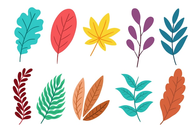 Zestaw paczek płaskich liści liści elementu Roślina tropikalna ilustracja botaniczna