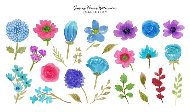 zestaw pięknych, ręcznie rysowanych wiosennych kwiatów i liści akwareli