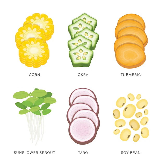 Plik wektorowy zestaw plastry warzyw. organicznie i zdrowa żywność odizolowywał element ilustrację.