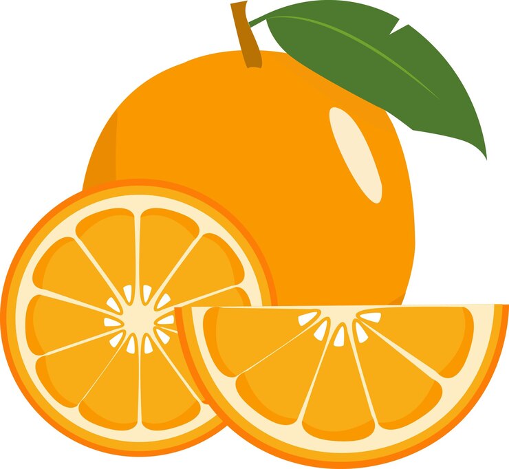 Wektor zestaw pomarańczowych i pomarańczowych kawałków ilustracji wektorowej clipart