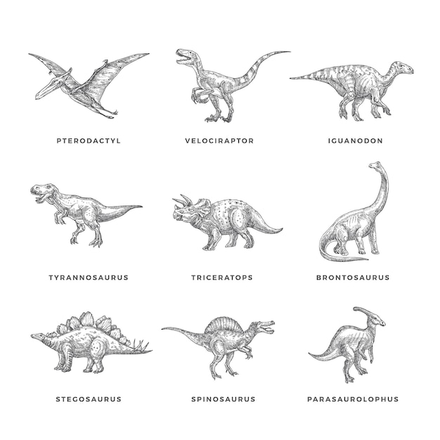 Plik wektorowy zestaw prehistorycznych dinozaurów szkicu ilustracji