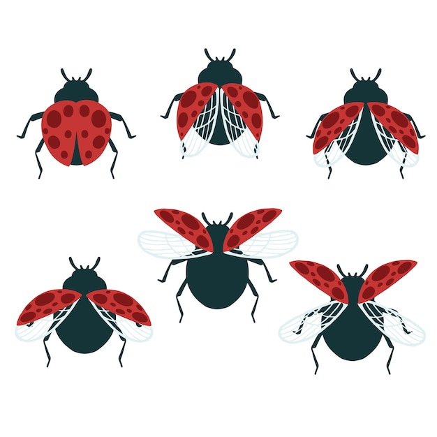 Plik wektorowy zestaw prostego płaskiego chrząszcza z różnymi skrzydłami kolekcja owadów płaski wektor ilustracja na białym tle