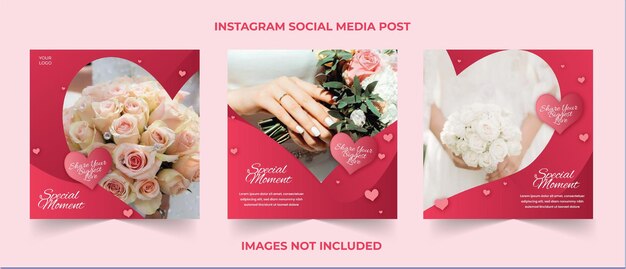Zestaw przyjęć weselnych miłości specjalny dzień dla mediów społecznościowych instagram szablon wpisu wektor