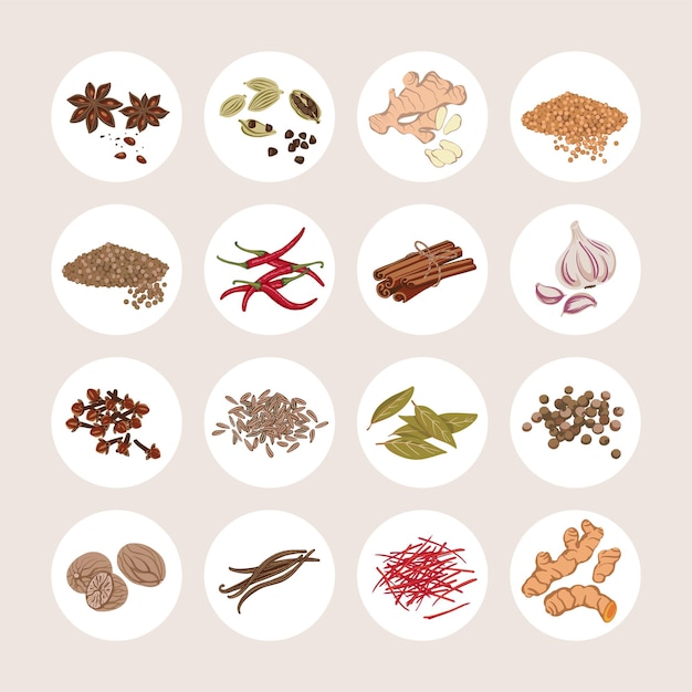 Zestaw przypraw Anyż gwiazdkowaty Kardamon Imbir Musztarda Kolendra Kolendra Papryczka chili Cynamon