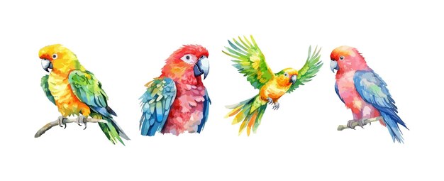 Plik wektorowy zestaw ptaków papuga akwarela na białym tle na białym tle ilustracji wektorowych