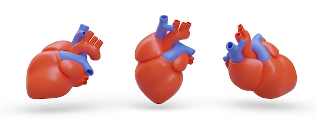 Plik wektorowy zestaw realistycznych, anatomicznie poprawnych serc w różnych pozycjach silnik ludzki
