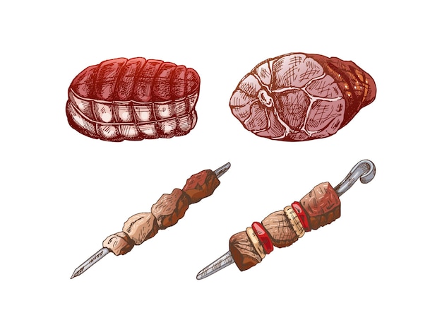 Plik wektorowy zestaw ręcznie narysowanych kolorowych szkiców kawałków mięsa, szynki, wieprzowiny, suszonych kebabów, świeżych produktów mięsnych