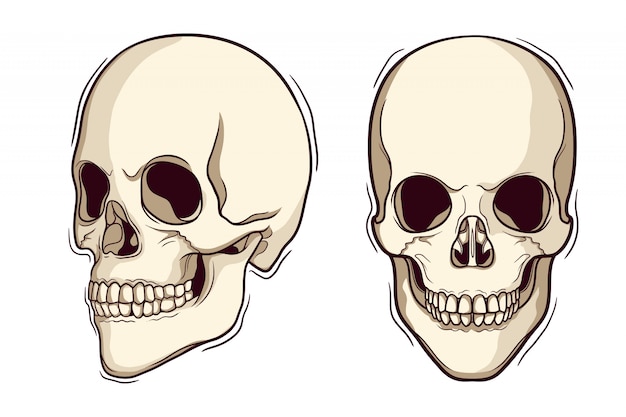 Zestaw ręcznie rysowane ludzkiej czaszki