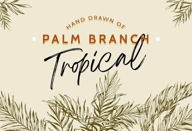 Zestaw Ręcznie Rysowane Natura Tropikalna Palma Liście Ilustracja W Stylu Vintage