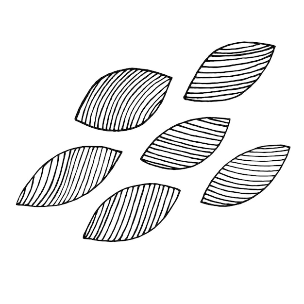 Plik wektorowy zestaw ręcznie rysowane stylizowane liście w linii