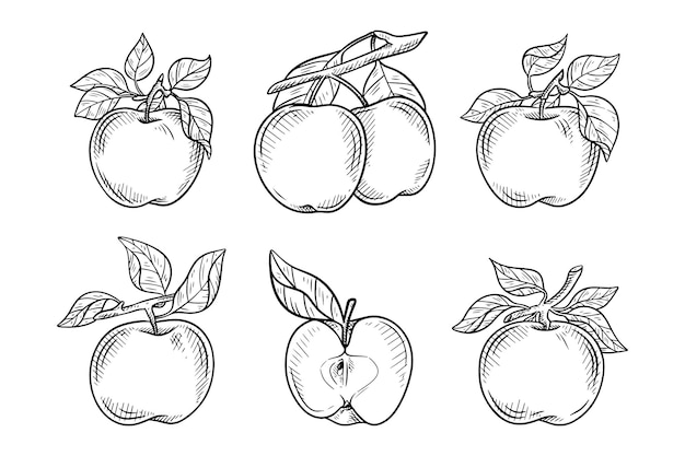 Zestaw Ręcznie Rysowanej Ilustracji Jabłka