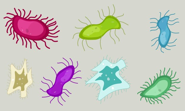 Plik wektorowy zestaw różnych form wirusów i bakterii wektor