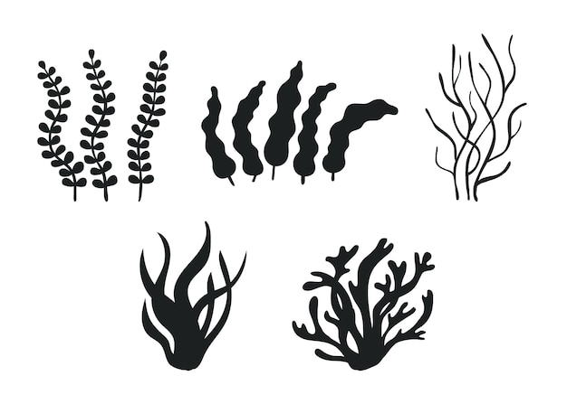 Zestaw różnych podwodnych wodorostów morskich i glonów czarna sylwetka Jadalne wodorosty i liście