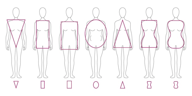 Plik wektorowy zestaw różnych typów postaci kobiecych typy ciał kobiet z kształtami geometrycznymi wektor